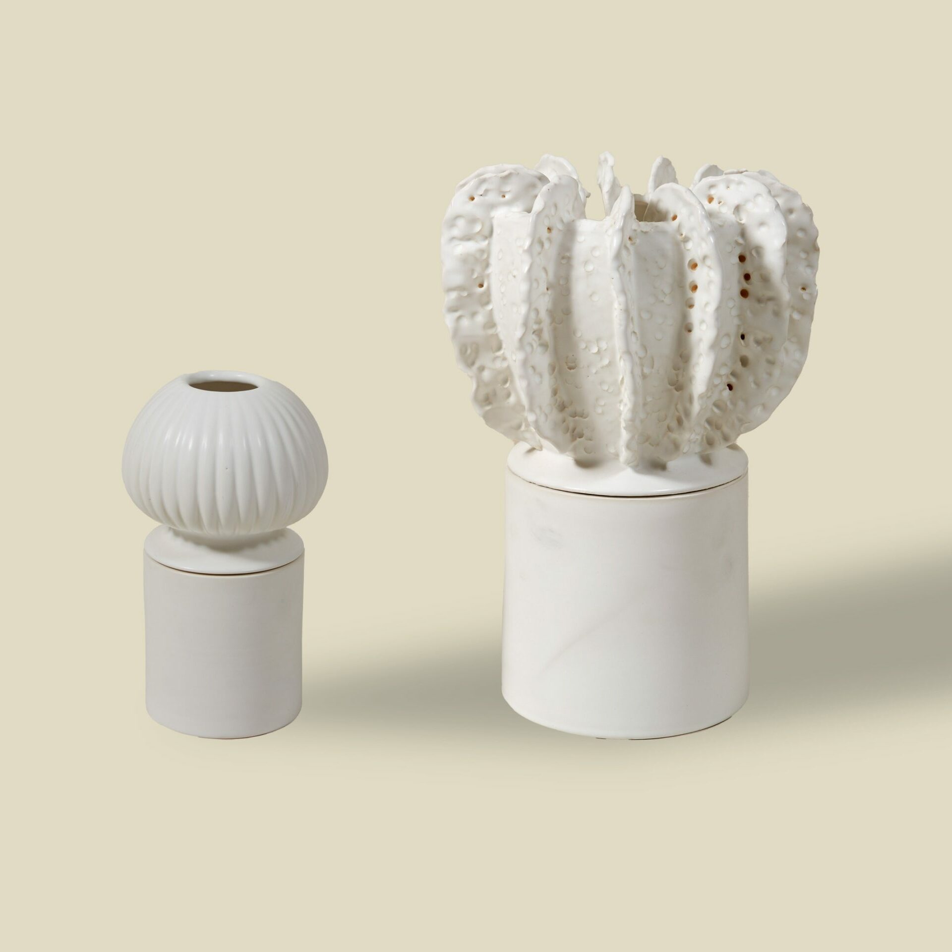 Ceramics Acropora & Senecio White