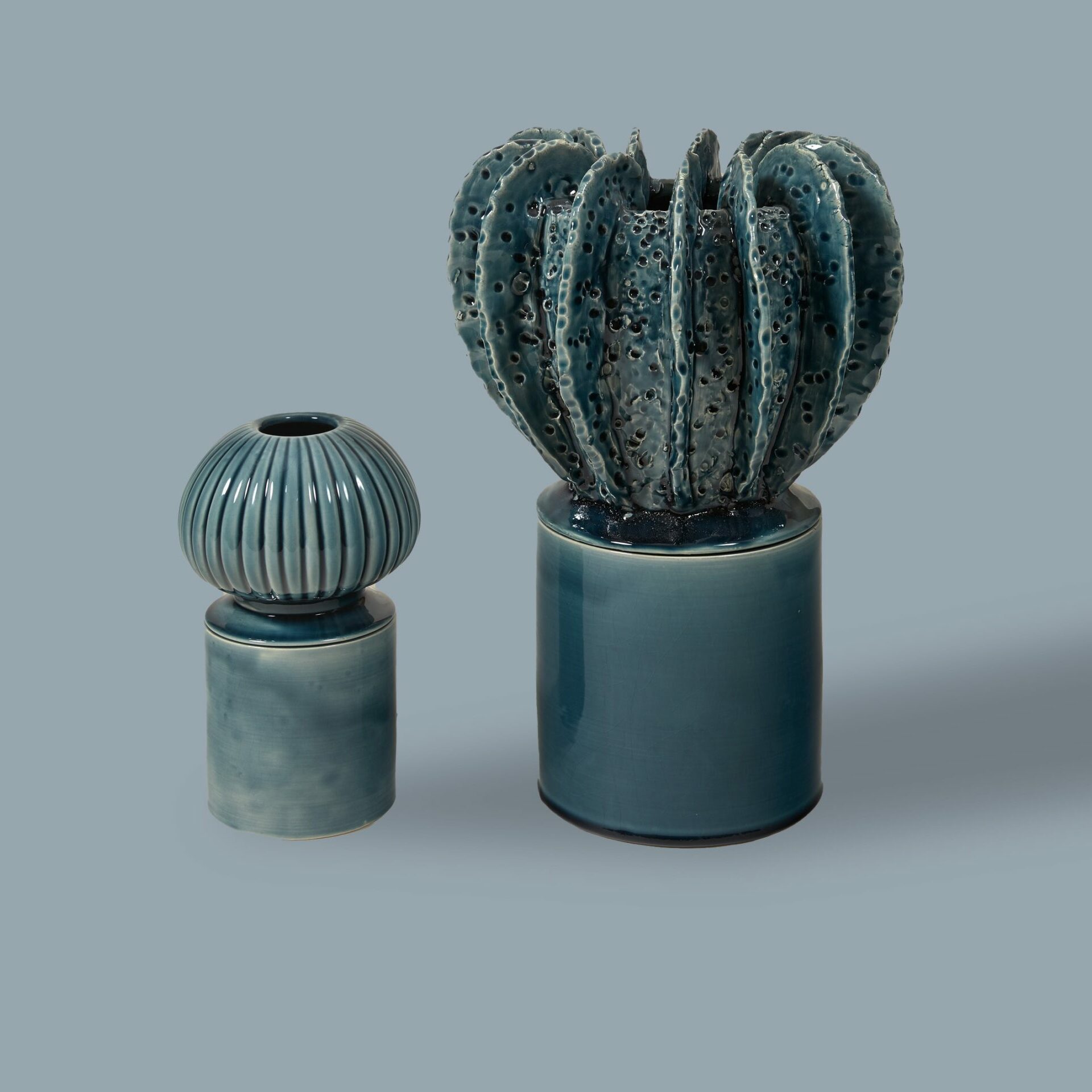 Ceramics Acropora & Senecio Blue