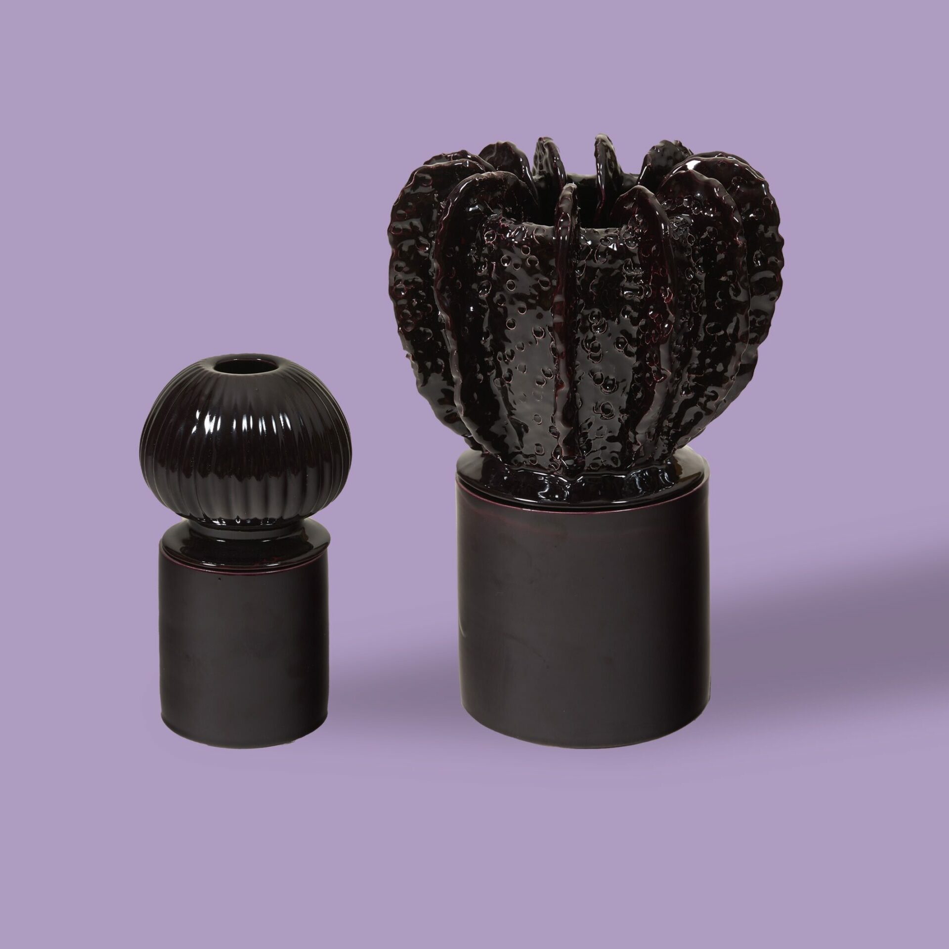 Ceramics Acropora & Senecio Purple