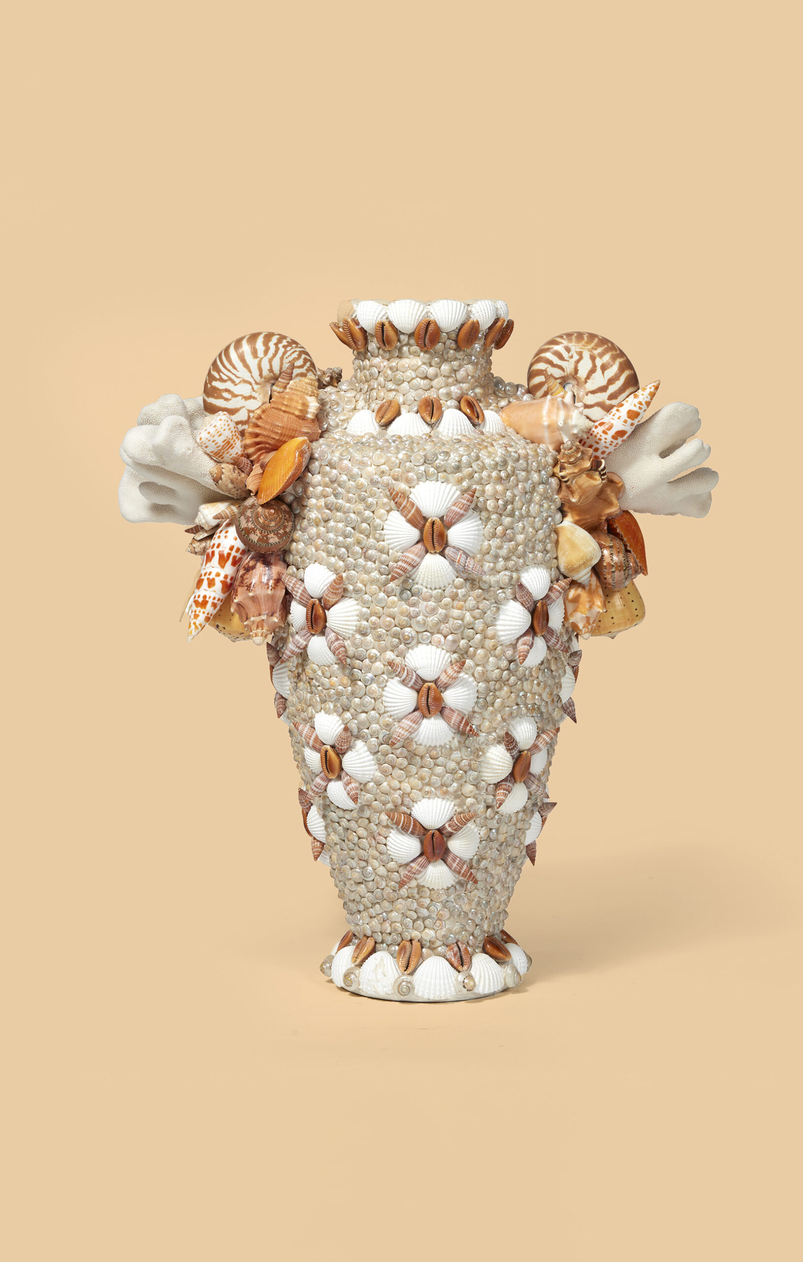 Seashell vase I