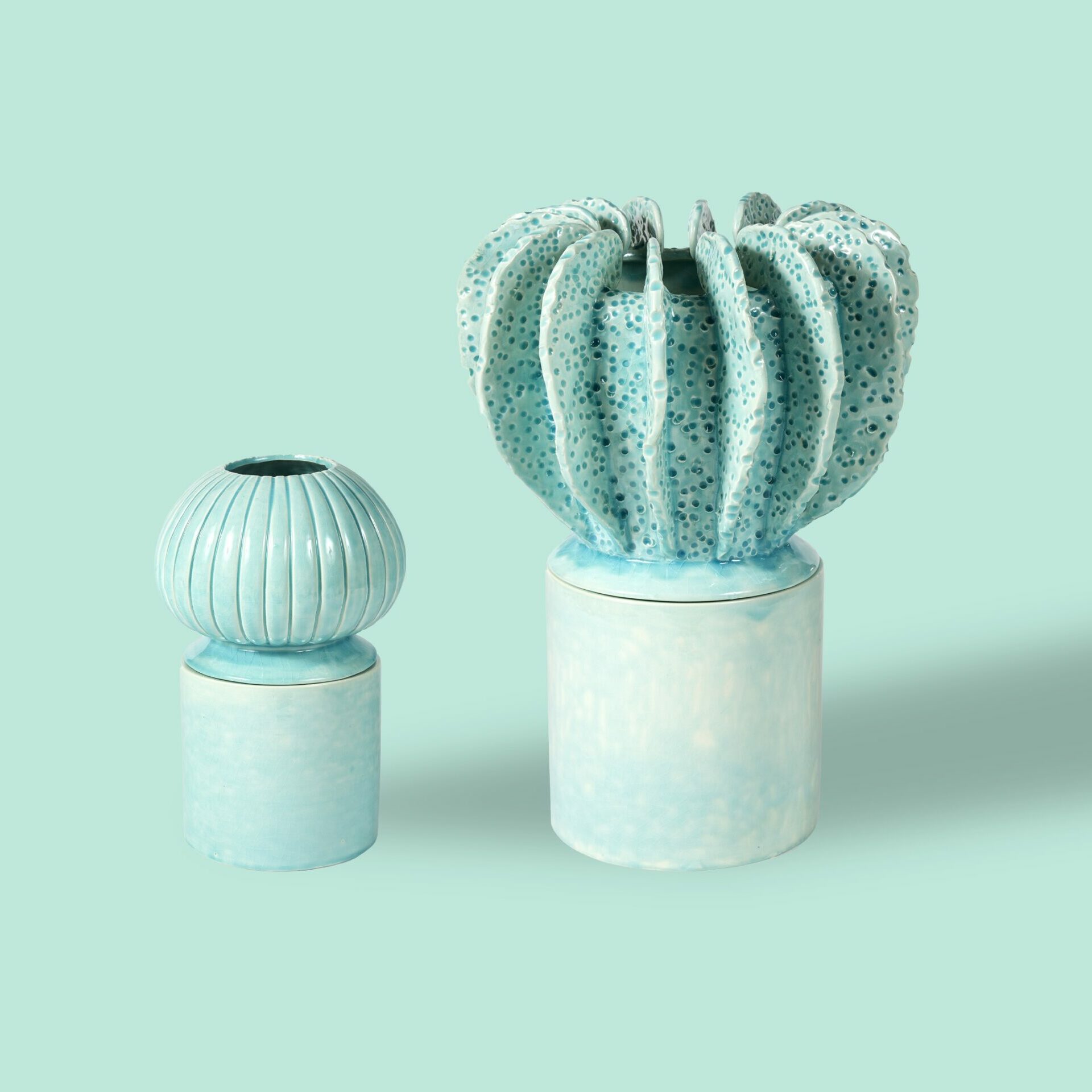 Ceramics Acropora & Senecio Azur
