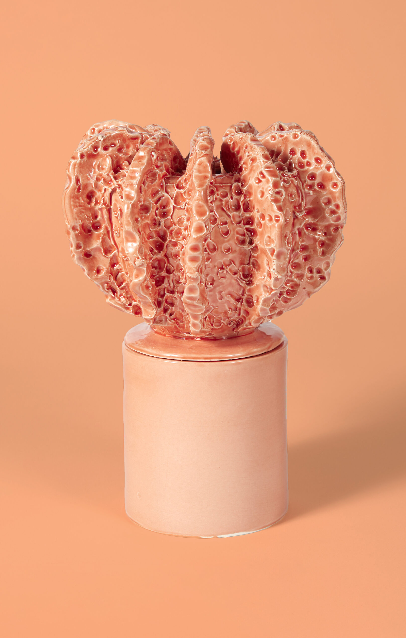 ACROPORA Medium Ceramic Coral