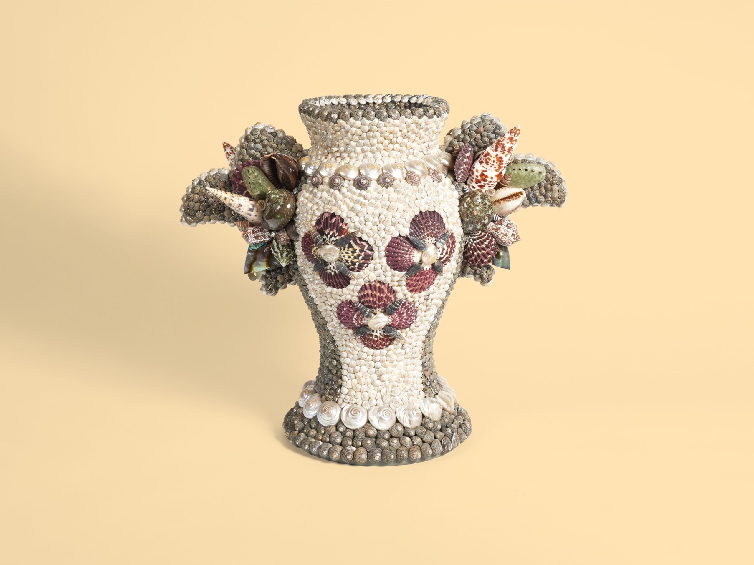 Seashell vase II